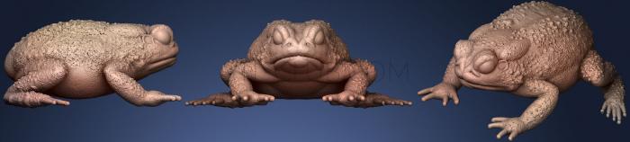 3D model Resting Toad (STL)